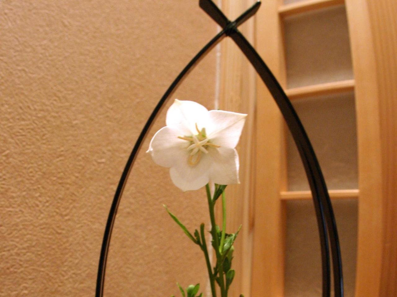Ryokan Shinsen Takachiho Exterior foto